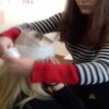 Практичне заняття «Десмургія. Правила накладання пов'язок»
